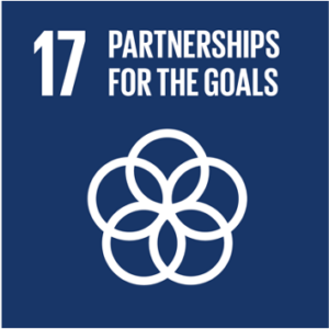 SDG 17 partnership