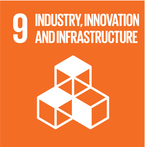 sdg 9