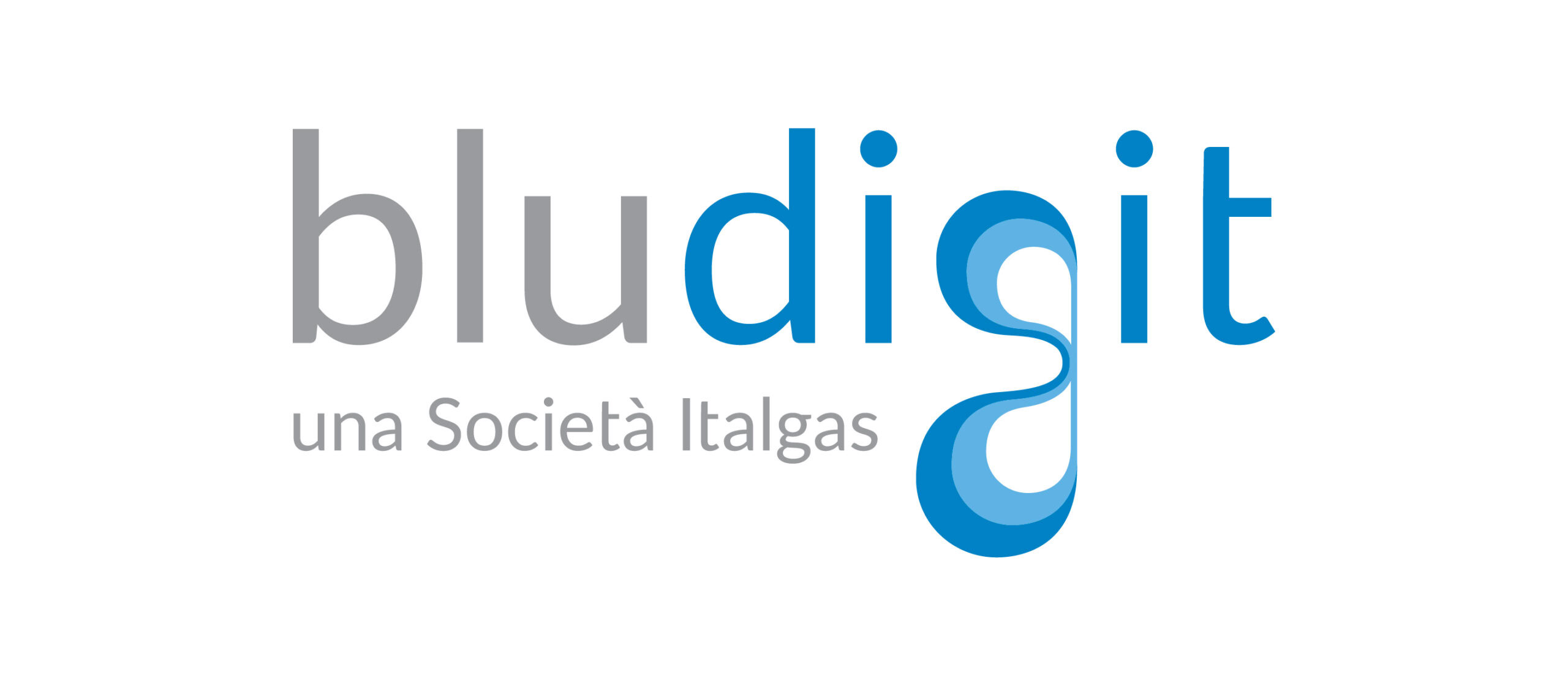 BluDigit-logo