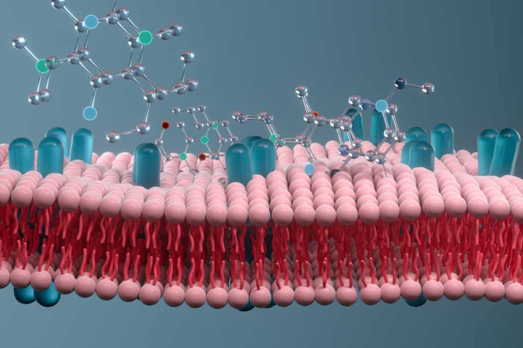 Can Mold Toxicity Cause Brain Cancer & Glioblastomas?