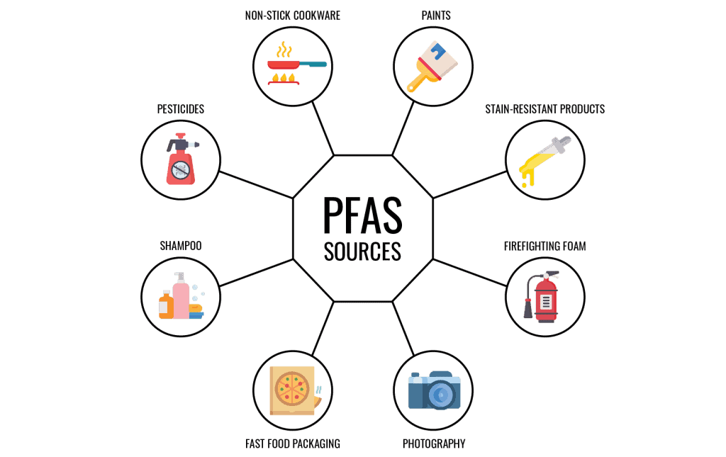 Forever Chemicals Explained: PFOS, PFAS, And PFOA Toxicity