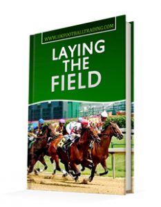 Laying the field - Horse Racing Betfair Course Image