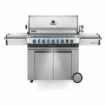 Parrilla Napoleon Prestige Gas Propano 665