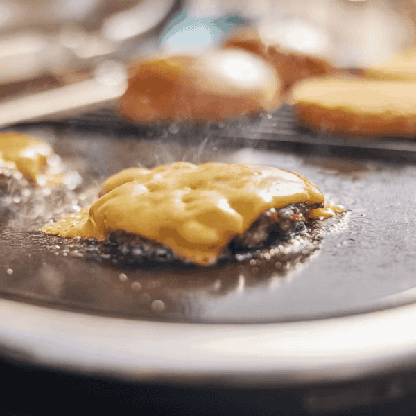 Plancha Weber para parrilla eléctrica Lumin