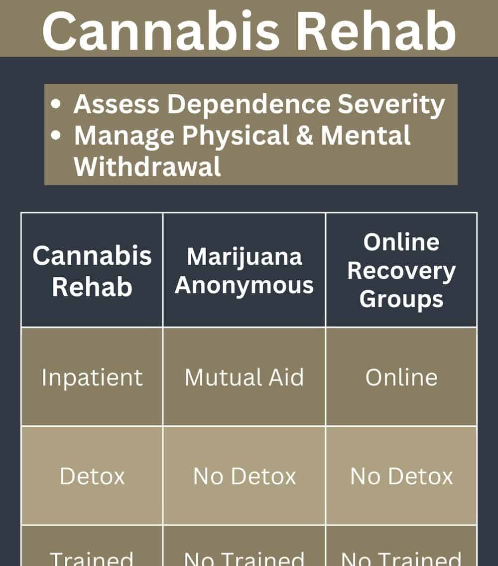 cannabisrehab abbeycare 1