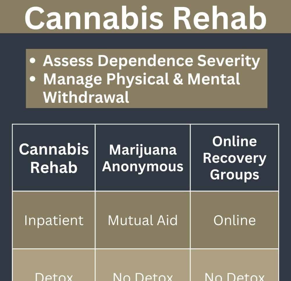 cannabisrehab abbeycare 1