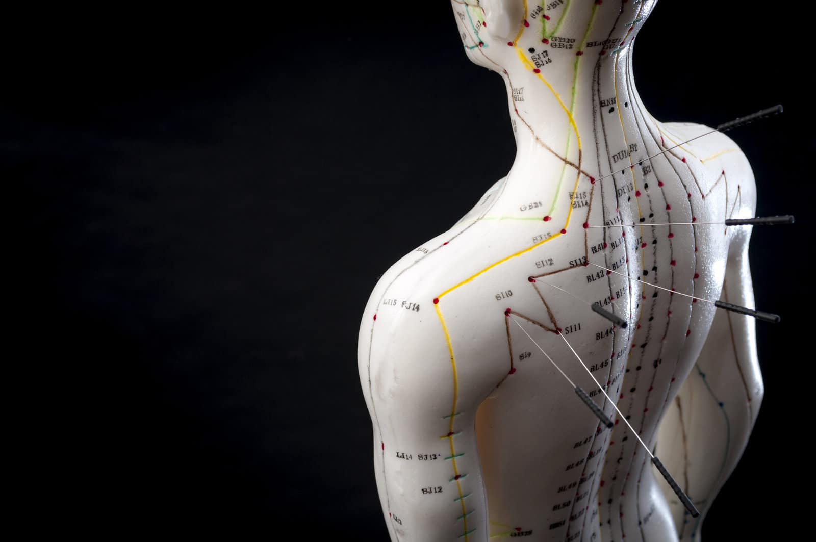 alternative-medicine-and-east-asian-healing-methods-concept-with-acupuncture-dummy-model-with-copy-space-acupuncture-is-the-practice-of-inserting-needles-in-the-subcutaneous-tissue-skin-and-muscles