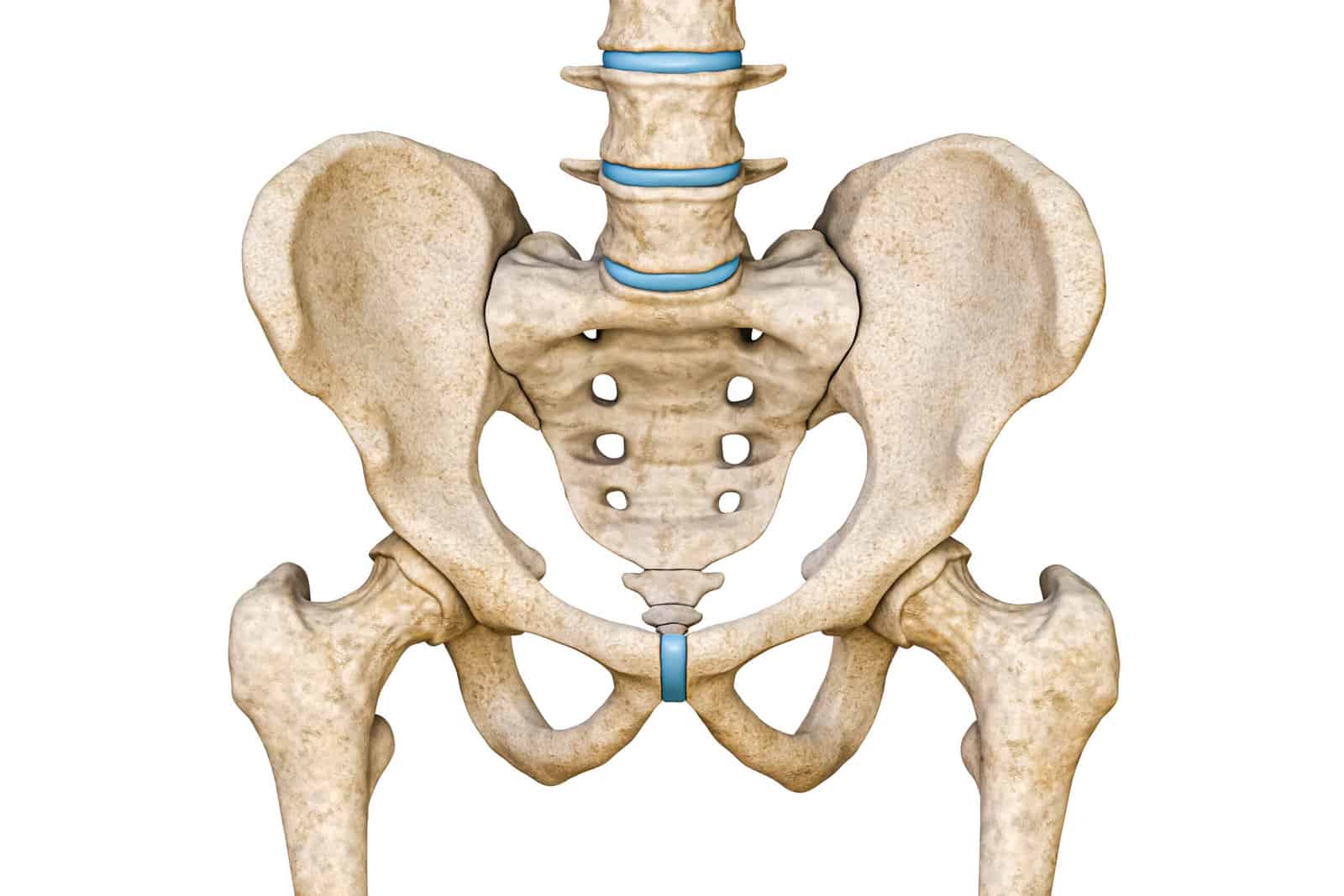 anterior-or-front-view-of-human-male-pelvis-sacrum-lumbar-spine-and-femur-bones-isolated-on-white-background-3d-rendering-illustration-blank-anatomical-chart-anatomy-medical-science-part-of-hum