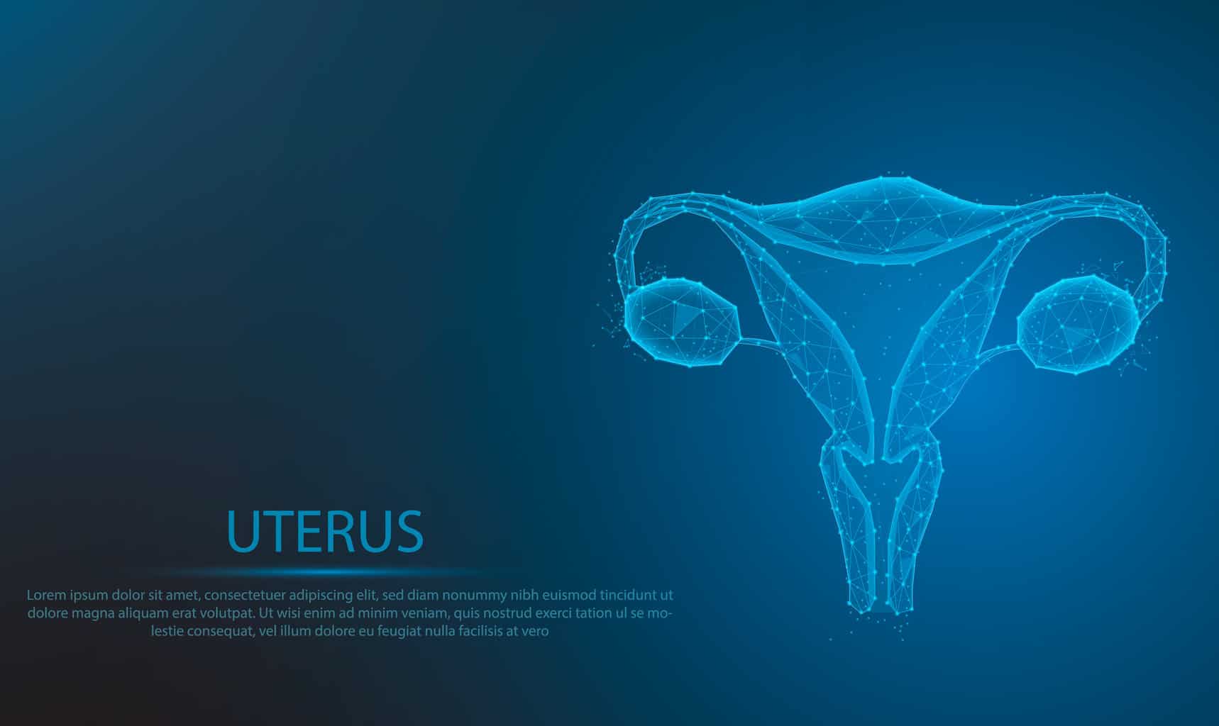 human-anatomy-female-reproductive-system-organs-location-scheme-uterus-glowing-blue-low-polygon-particle-and-triangle-style-design-wireframe-light-connection-structure