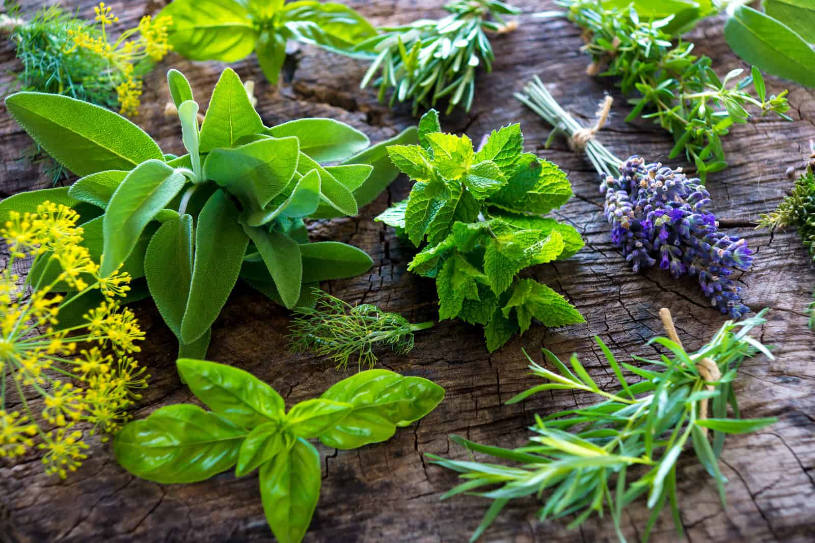 fresh-herbs-on-wooden-background