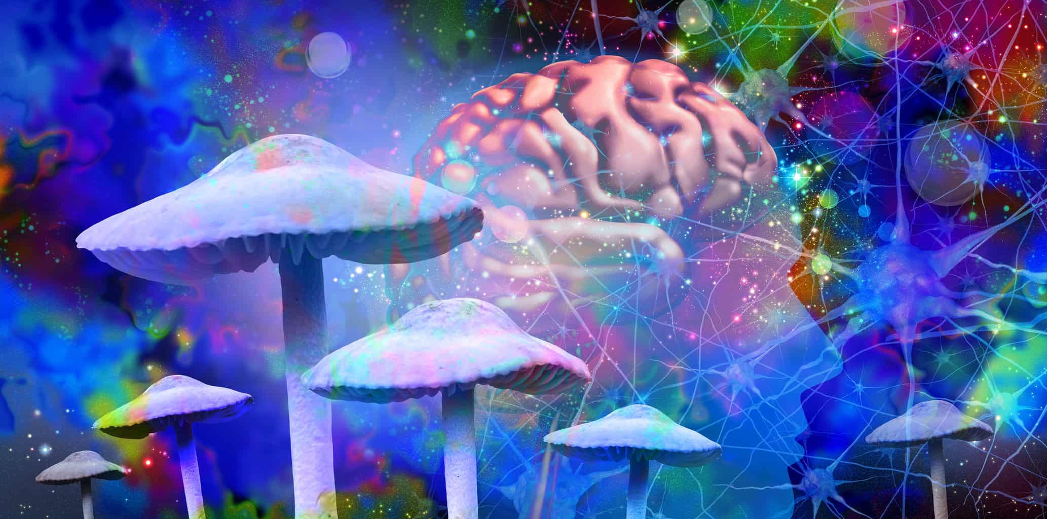 mushrooms-and-mental-health-as-psychedelic-drug-or-psychedelics-hallucinogenic-drugs-and-hallucinogens-representing-medicine-for-brain-disorders-in-a-3d-illustration-style