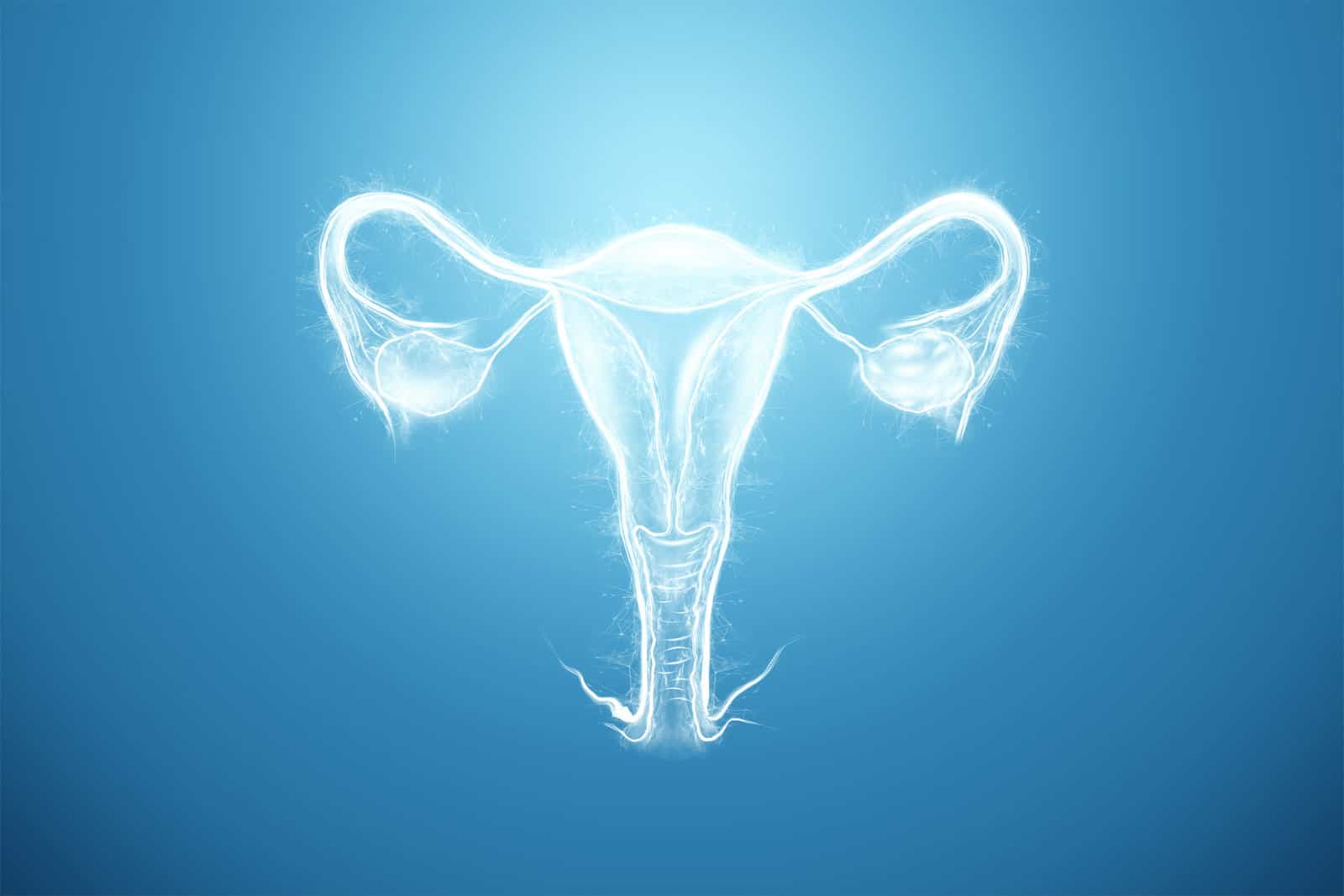 hologram-of-the-female-organ-of-the-uterus-on-a-blue-background-ultrasound-concept-gynecology-obstetrics-ovulation-pregnancy-3d-illustration-3d-render