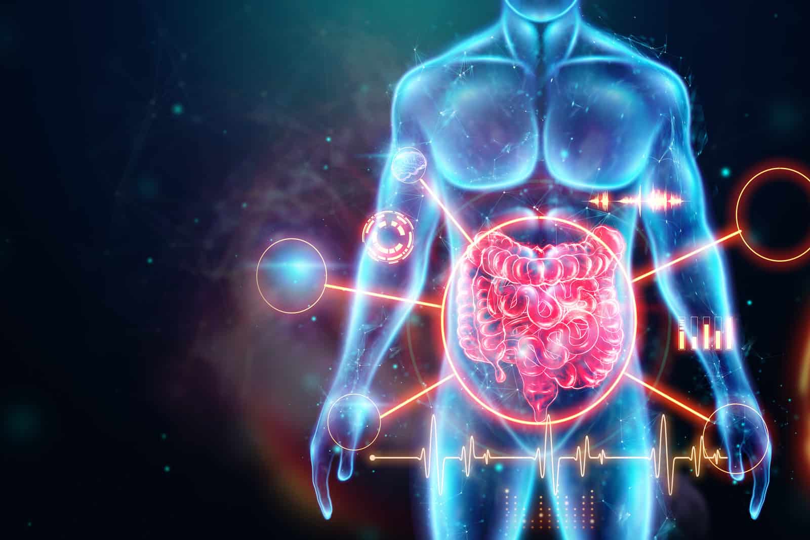 a-holographic-projection-of-a-red-irritable-bowel-scan-with-medical-data-the-concept-of-abdominal-pain-bowel-problems-constipation-modern-medicine-3d-illustration-3d-render