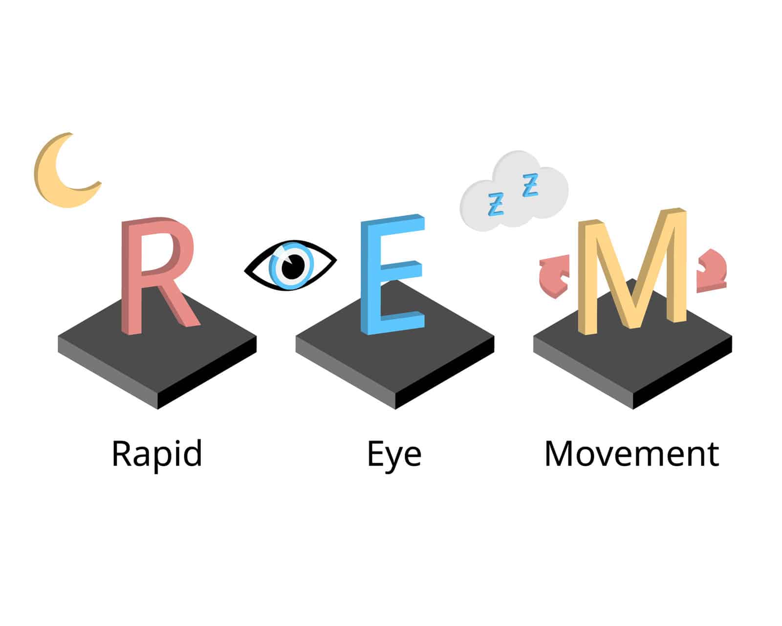 rem-or-rapid-eye-movement-in-sleep-circle-which-is-the-sleep-stage-that-make-you-dream