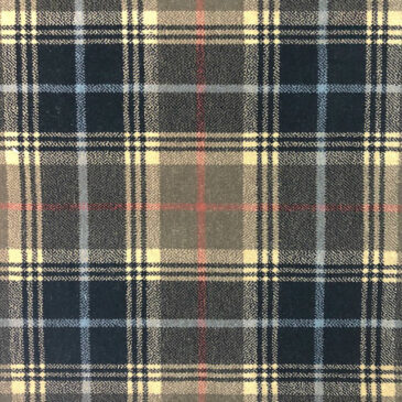 Ben Avon Carpet