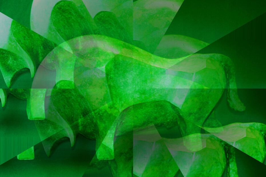 Crazy Bull in the Green Garden !