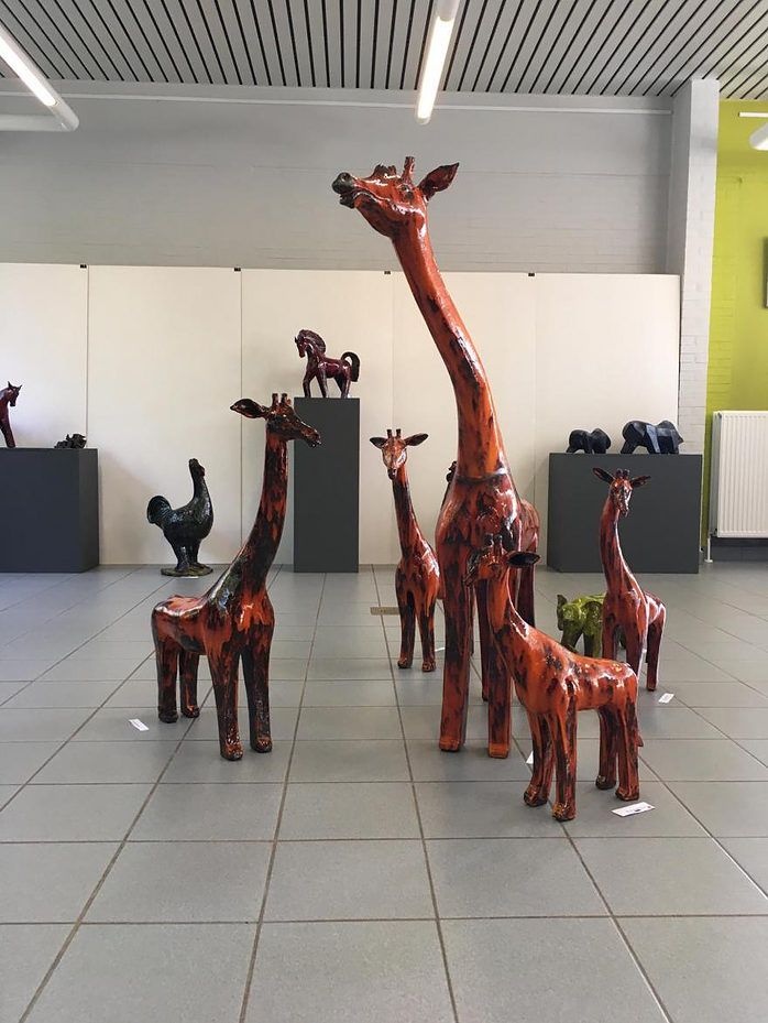 Giraffen während Corona