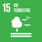 SDG 15. La vie à la campagne
