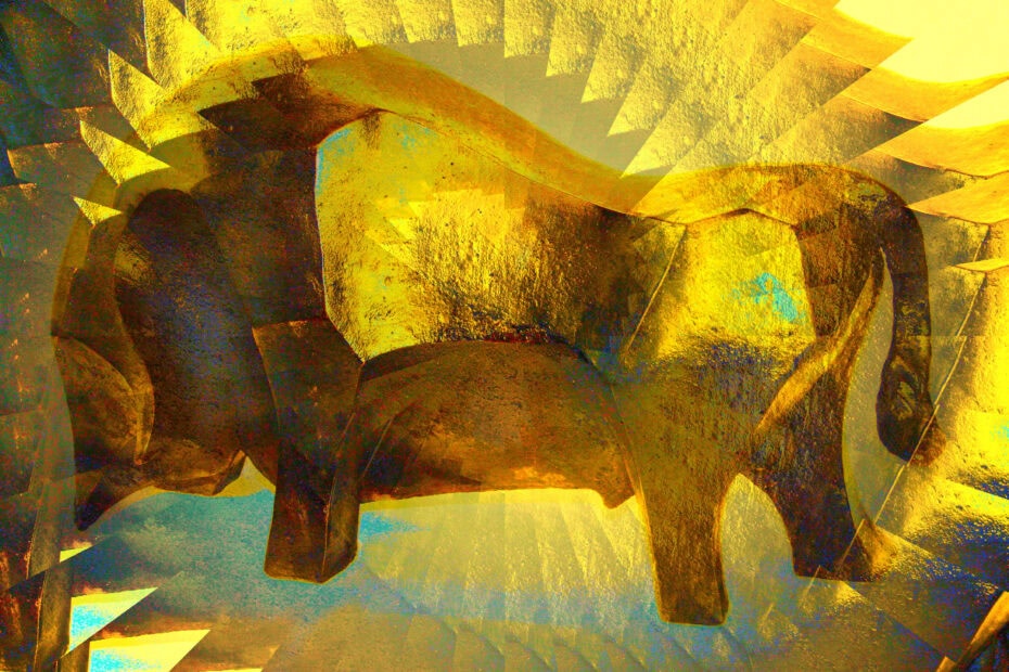 Toro Gold L1 © Anita Fleerackers