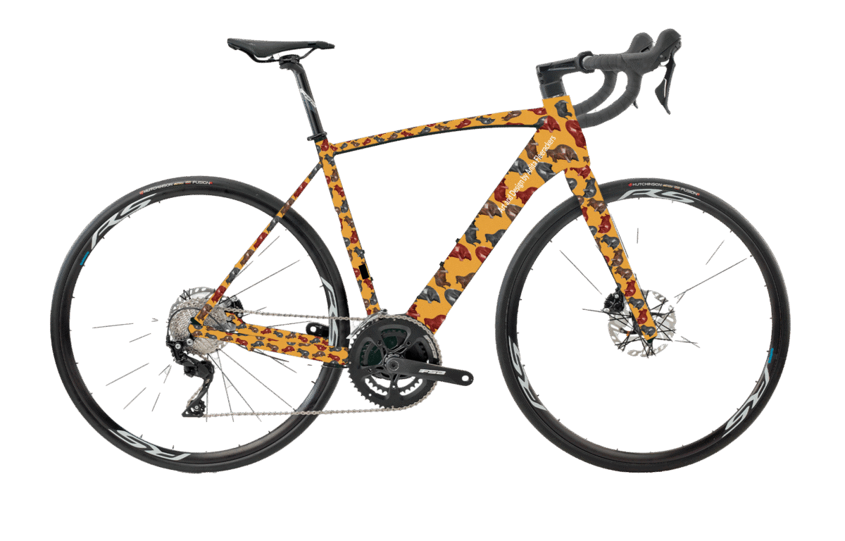 Wrap my Bike a demandé Ludo ! Art Design @ Anita Fleerackers