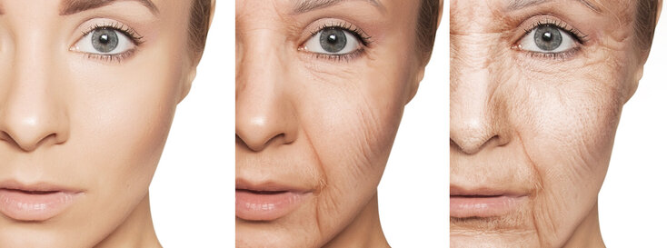 Aging skin progress from young to old on fair skin caucasian