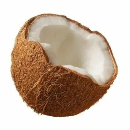 Capella Coconut