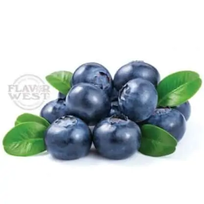 Blueberry Flavor West Concentrate