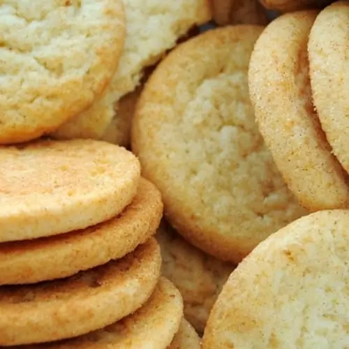 Cinnamon Sugar Cookie The Flavor Apprentice Concentrate