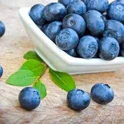 The Flavor Apprentice - Blueberry Wild