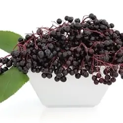 The Flavor Apprentice - Elderberry