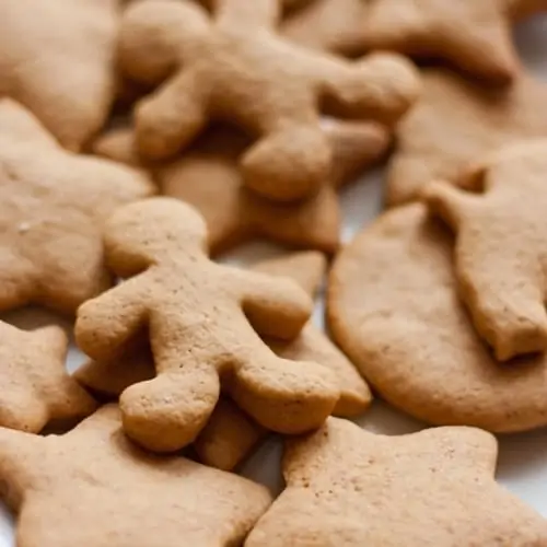 The Flavor Apprentice - Gingerbread