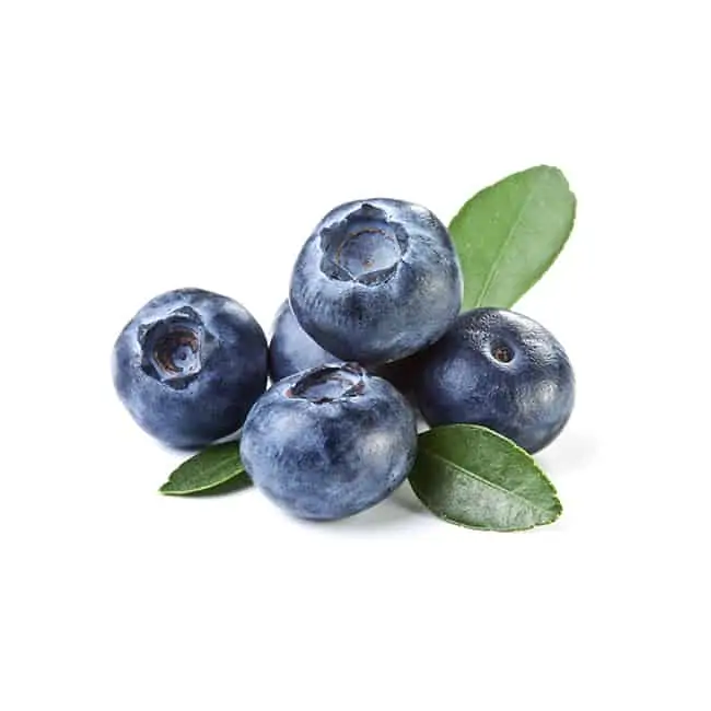 The Flavor Apprentice - Huckleberry