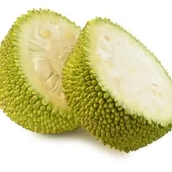 The Flavor Apprentice - Jackfruit