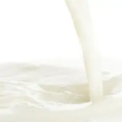 The Flavor Apprentice - Malted Milk