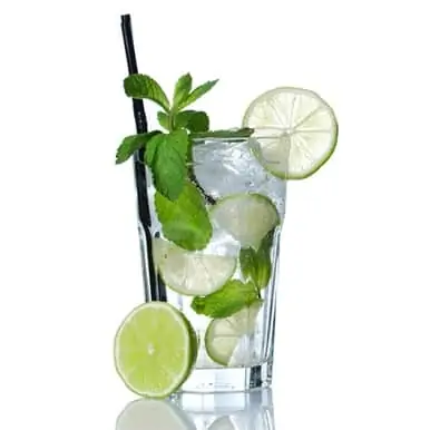 The Flavor Apprentice - Mojito Havanna
