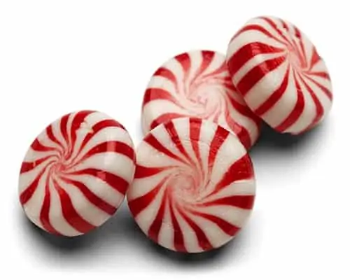 The Flavor Apprentice - Peppermint