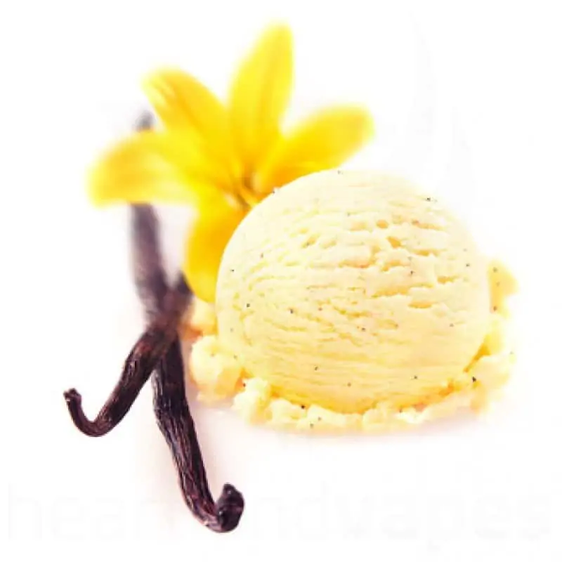 The Flavor Apprentice - Vanilla Bean Gelato
