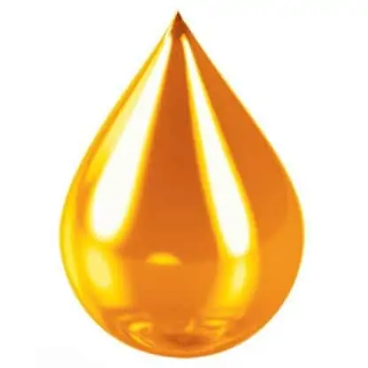 Capella Fizz Pop