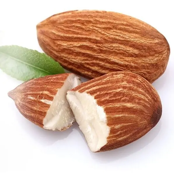 Capella Toasted Almond