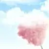 Cotton Candy Mt Baker Vapor Concentrate
