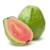 Guava Del Sol Mt Baker Vapor Concentrate