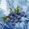 Mountain Huckleberry Ice Mt Baker Vapor