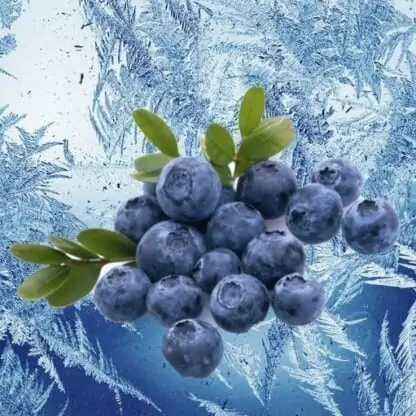 Mountain Huckleberry Ice Mt Baker Vapor