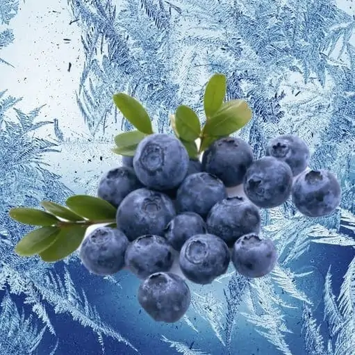 Mountain Huckleberry Ice Mt Baker Vapor