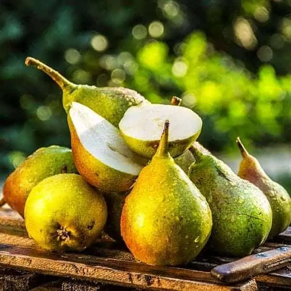Pacific Pear Mt Baker Vapor Flavor Concentrate