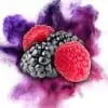 Razzleberry Mt Baker Vapor Concentrate