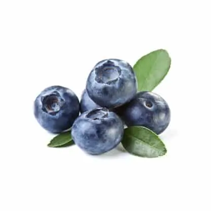 The Flavor Apprentice - Huckleberry