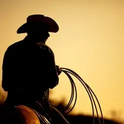 The Flavor Apprentice - Western