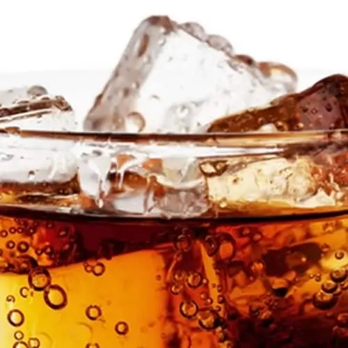 The Flavor Apprentice Cola Soda