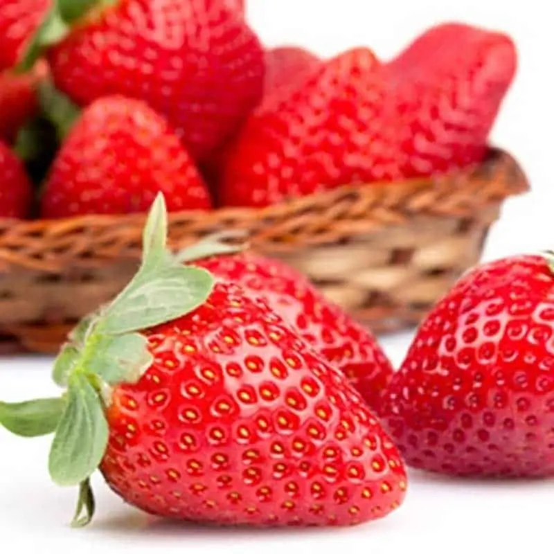 The Flavor Apprentice Strawberry